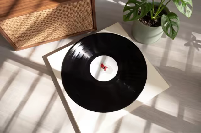 Vinyl Record Mockup in Dappled Sunlight
