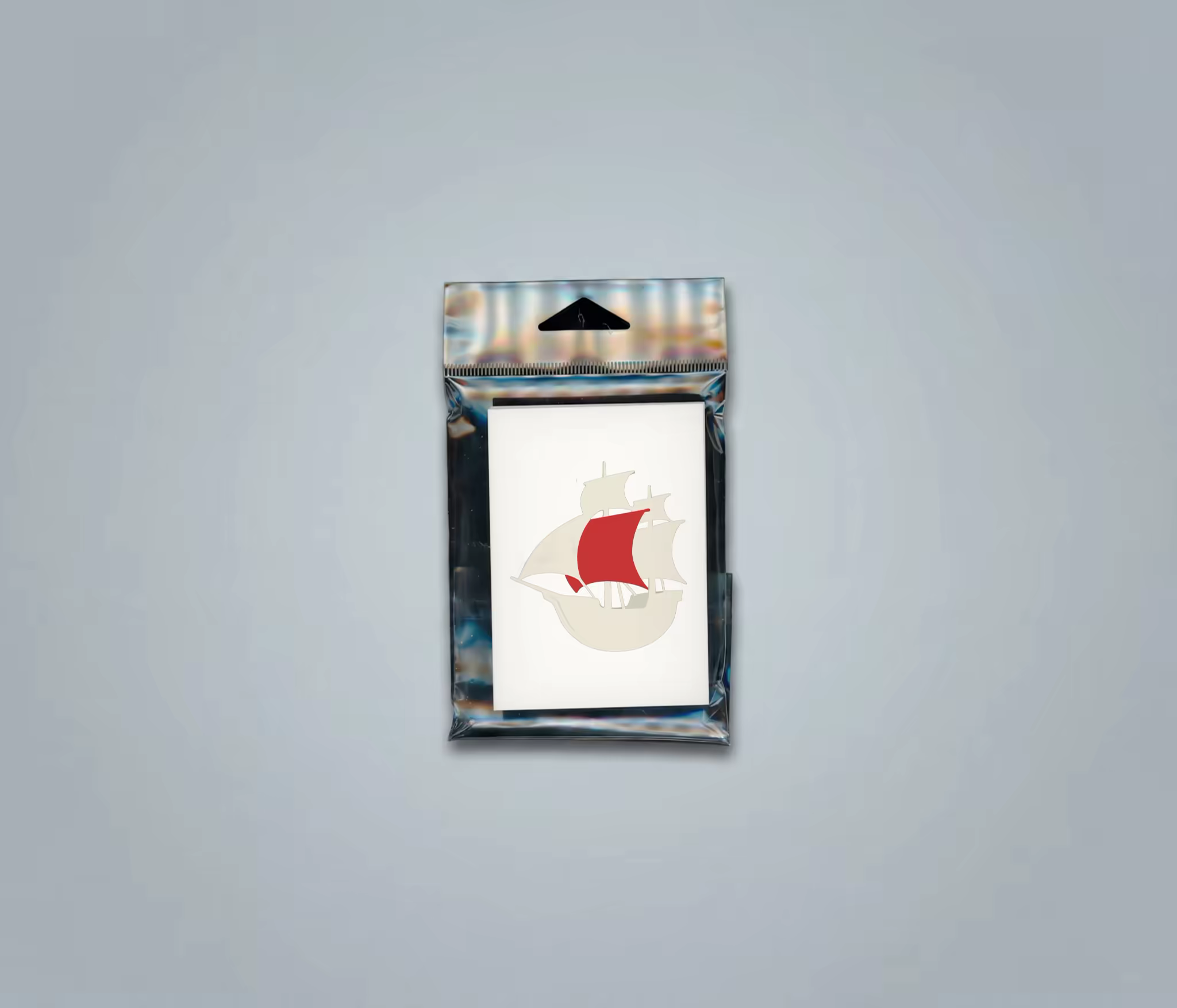 Card Mockup in a Clear Hang Tab Pouch