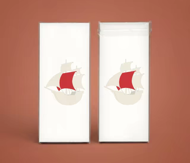 Boxed Stationery Mockup in Clear Sleeves on Rust