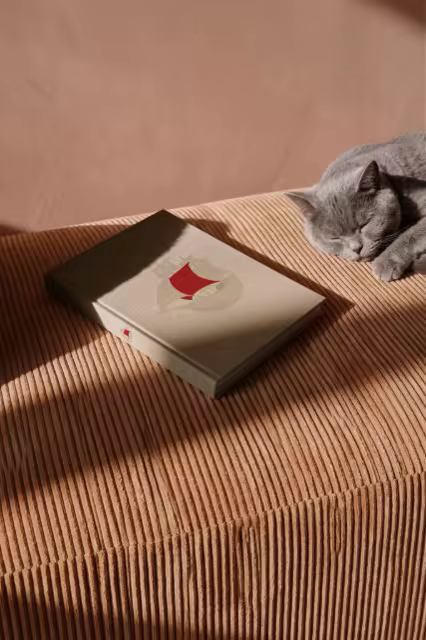 Hardcover Book Mockup Beside a Sleeping Cat